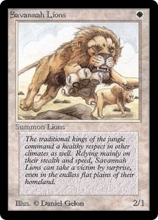 Savannah Lions Beta